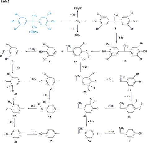 Possible pyrolysis process in path 2 caused initially by a ...