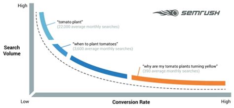 Top 11 Tools For Finding Long-Tail Keywords in 2021