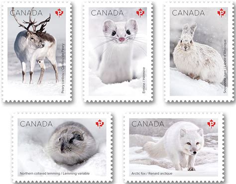 Five new Canadian stamps feature snow mammals! – World Stamp News