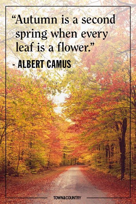 These Autumnal Quotes Will Put You in the Mood for Fall | Fall season ...