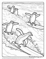 100  Penguin coloring Pages Free PDF To Print Woo Coloring sketch template