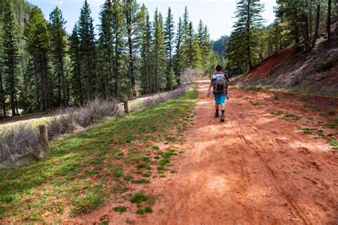 Fenton Lake State Park – The Lobo Life