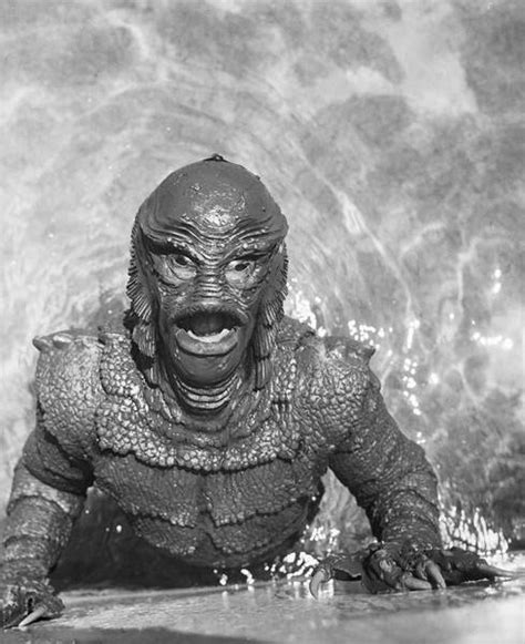 Photographs and Stills Creature From The Black Lagoon 1954 | Film And Television Memorabilia