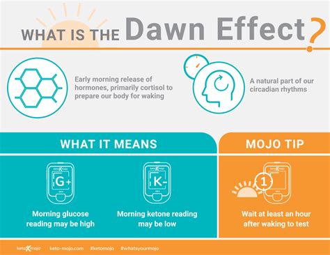 Testing: What is the Effect? Low Morning Ketones | KETO-MOJO