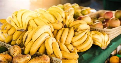 Remédios caseiros para pulgas: 3 receitas Bananas, Banana Madura, Salty Foods, Carbs, Diabetes ...