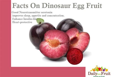 Facts On Dinosaur Egg Fruit - dailyonefruit