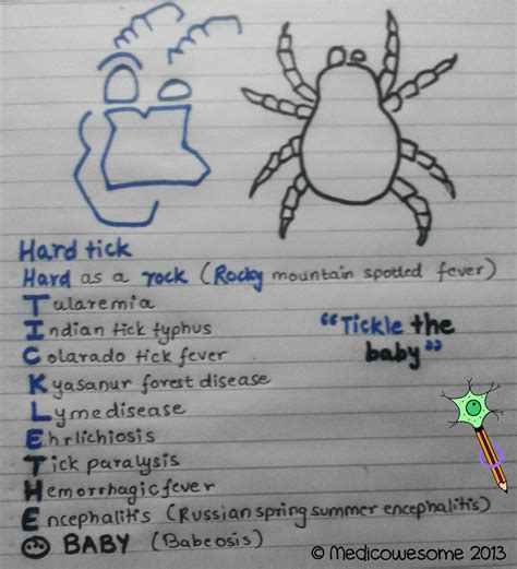 Medicowesome: Tick borne disease mnemonic