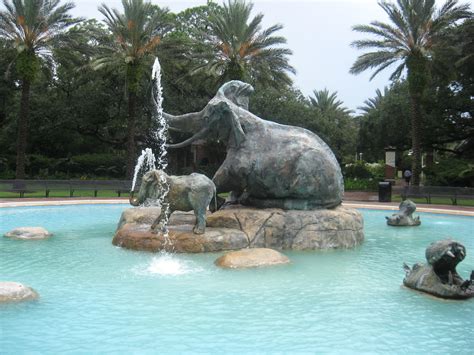 Missy Lyons Blog: New Orleans Zoo visit - AADNOLA