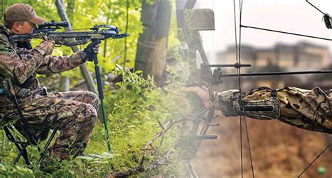 Crossbow Vs Bow: What Is the Best? - A Smarter Tip