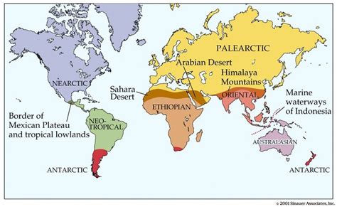 Biogeographic Realms of Earth -- using archaic Mercator projection (ugh!) | Unusual Maps ...