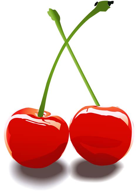 Two Cherries: Vector Art by Newage91 on DeviantArt