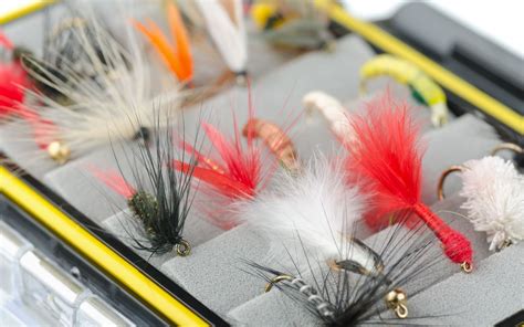 10 Best Wet Flies For Trout (2023 Buyer's Guide) - Into Fly Fishing