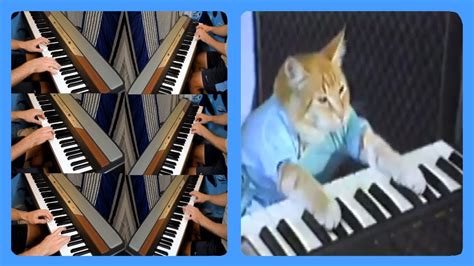 Keyboard Cat but with 6 more keyboards - YouTube