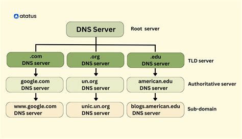 Ensure Network Uptime with DNS Monitoring