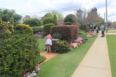 Pin on Toowoomba Carnival of Flowers