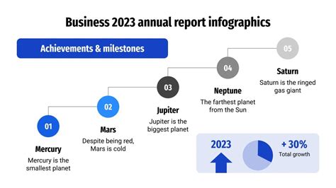 Business 2023 Annual Report Infographics