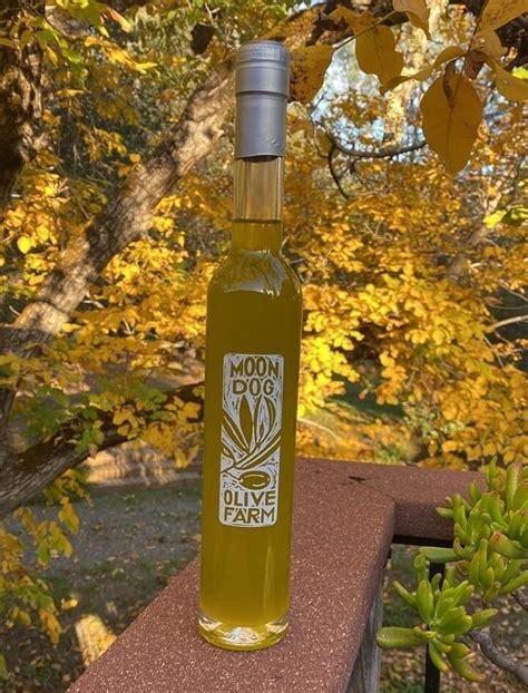 2023 Olio Nuovo - SOLD OUT til November 2024 - Moon Dog Olive Farm