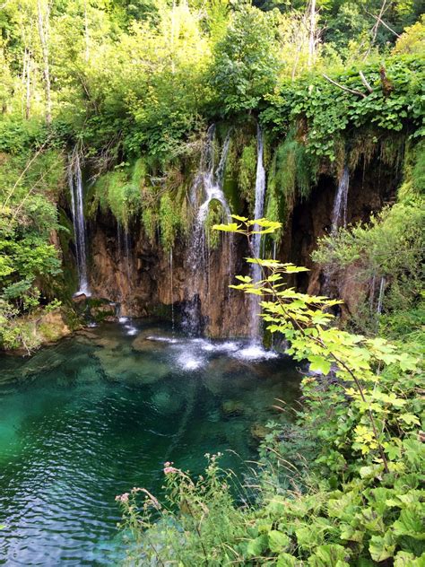 Free Images : tree, forest, waterfall, pond, jungle, body of water, croatia, rainforest, water ...