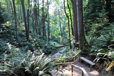 10 Best Parks in Vancouver - Explore Vancouver's Most Beautiful Outdoor Spaces – Go Guides