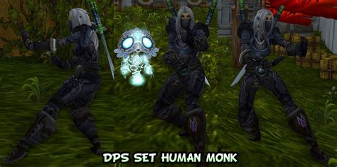 Transmog sets: DPS MONK by ColdBrush on DeviantArt