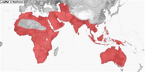 Varanidae (Monitor Lizards): distribution / RepFocus