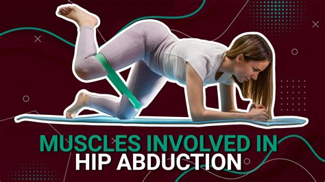 Discover 15+ Muscles Involved In Hip Abduction Exercises