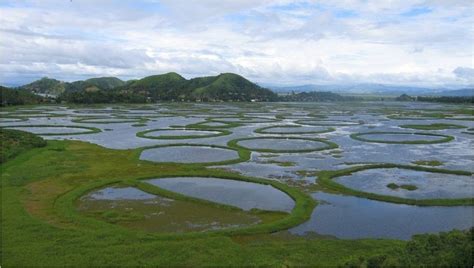 Floating Phumdis of Loktak Lake, India | Amusing Planet