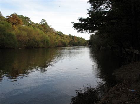 Neuse River Cliffs of the Neuse SP NC 0350 | bobistraveling | Flickr