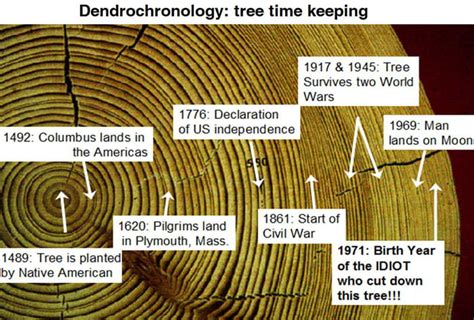 Dendrochronology - 9GAG