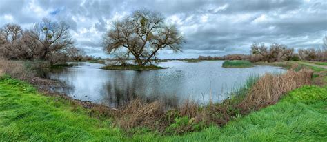 San Luis National Wildlife Refuge, California | Sierra Club