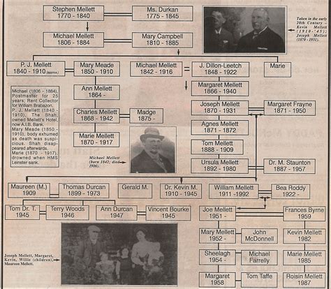 Mellett Family Tree Swinford Co. Mayo