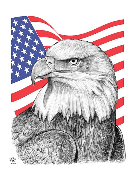 Bald Eagle Drawing America United States Patriotism Fine - Etsy