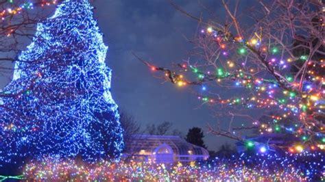 Lights Before Christmas at Toledo Zoo begins Friday | WNWO