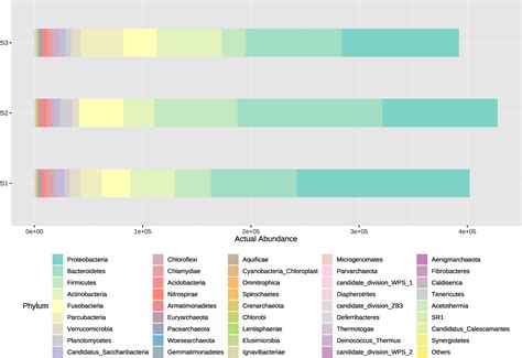 Frontiers | Bacterial community in African catfish (Clarias gariepinus) recirculating ...