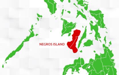 Gatchalian backs creation of Negros Island Region | Philippine News Agency