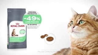 Royal Canin Digestive Care Cat - Pet Food Guide