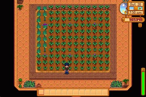 Best Winter Crops in Stardew Valley | High Ground Gaming