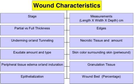 Wound Care and Irrigation Flashcards | Quizlet