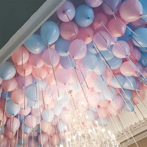 Buy 50 ceiling helium balloons standard with delivery in Dubai and ...