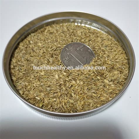 Touchhealthy Perennial Poa annua seeds for lawn or turfgrass,China price supplier - 21food