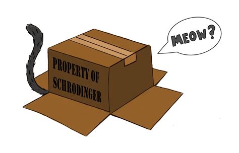 What did Schrodinger’s Cat Experiment Prove? – LiDAR and RADAR Information