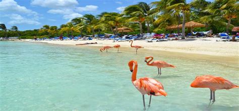 Flamengo Beach, Flamengo Beach Rio de Janeiro Holiday Travel