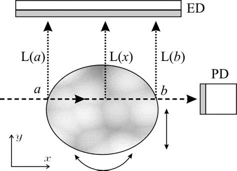 Schematic of the X-ray beam passing through a sample with fluorescent... | Download Scientific ...