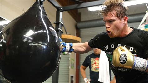 Canelo Alvarez training camp insight | Boxing News