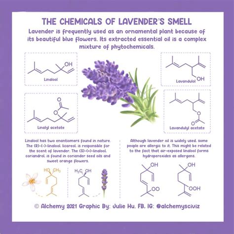 Pin by Gail Brankin on chem symbols in 2023 | Science infographics, Organic chemistry, Chemistry