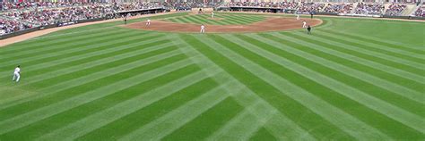 Major League Baseball Ballpark Grass and Turf