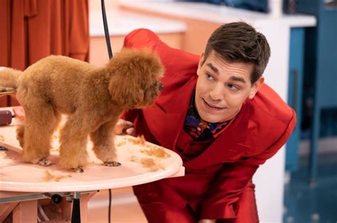 'Haute Dog' Host Matt Rogers Is Having A Big Year