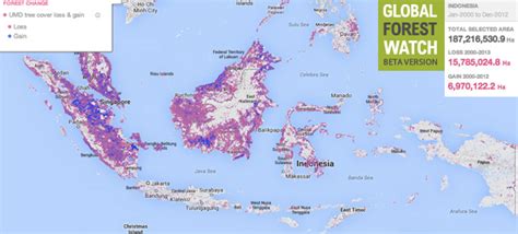 Will zero deforestation commitments save Indonesia's forests?