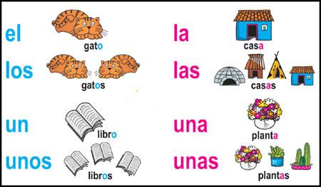 Artículos Definidos e Indefinidos Diagram | Quizlet