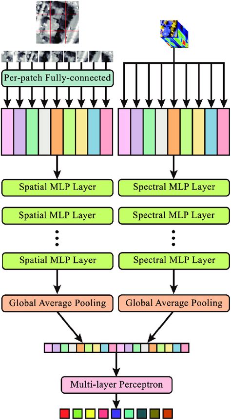 The schematic architecture of spectral-spatial multilayer perceptron... | Download Scientific ...